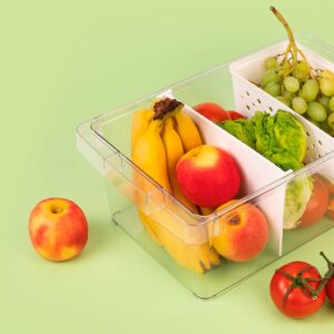 Cajón Organizador Frigo con Cesta + Separador